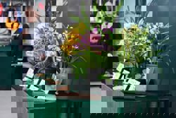 23 cases of smuggled orchids recorded as holiday demand swells in Hong Kong