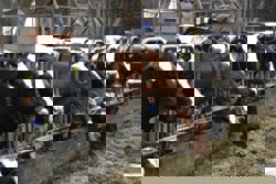 Human Writes: Eating up the planet