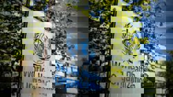 Up to 40% cancer cases are preventable, says WHO in new report