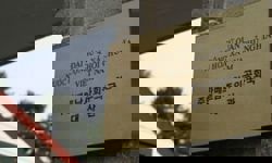 Vietnam reacts after South Korean official mentions 'importing women' amid population decline