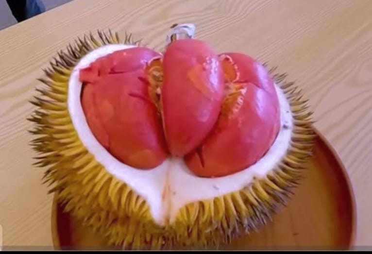 thestar.com.my - MUGUNTAN VANAR - Durian merah - next big thing?