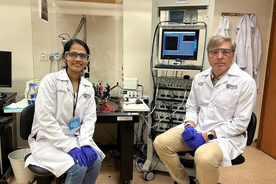 Promising longevity molecule may help defend against Alzheimer’s disease: Singapore study