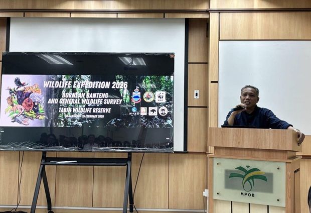 Tabin expedition aims to gain vital info on endangered Bornean banteng