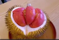Durian merah – next big thing?