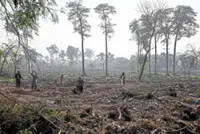 Green city vision eroded by mass development