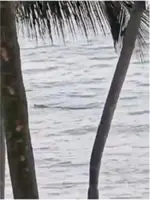 Water activies resume after end to croc sightings