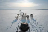 Sledding past Washington