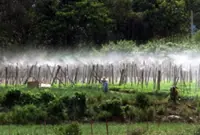 RM33mil set aside for high-impact agriculture projects under 13MP