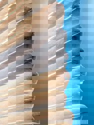 Nature's super feather: The tiny filoplume is a key feather for birds