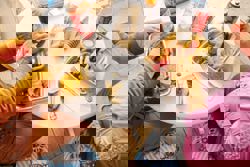 How food delivery Is reshaping mealtime