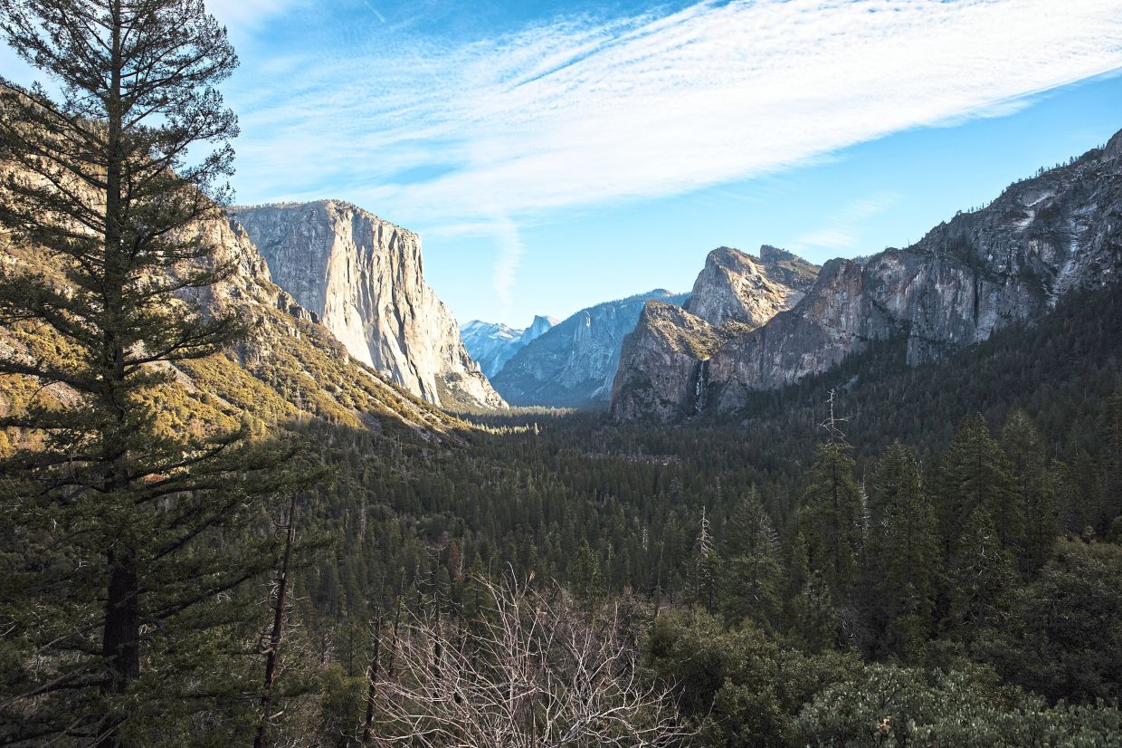 Sorry! Image not available at this time