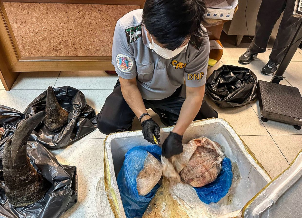 Man arrested in Thailand for smuggling rhino horn inside meat