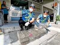 RM3 for each rat caught in Pandan Jaya