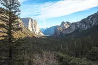 Wildness in the wilderness