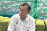 Sarawak ready to scale up live pig exports to Selangor