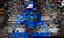 January was the fifth-warmest month on record globally, says Copernicus Climate Change Service