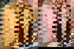 Assistant of successful China influencer steals identities, earning US$158,000 in tips