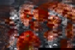 Japanese sausage maker says sounds produced when chewing links resemble those of batting a home run