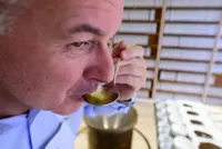 What do professional tea tasters do? Sample 300 teas a day