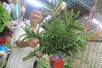 Making a clean sweep for fortune