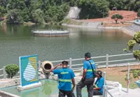 Unrelenting heat threatens northern padi harvest as dam levels drop