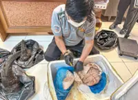 Man arrested for smuggling rhino horn inside meat