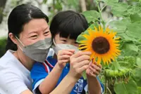 Experts: Mask up when travelling