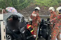 Two injured after tree falls on car in Nilai