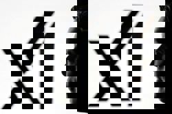 Two co-founders of Elon Musk's xAI resign, joining exodus