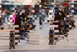 China’s Lunar New Year travel rush begins with record 9.5 billion trips expected