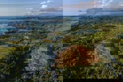 Indonesia arrests 11 for alleged corruption over palm oil exports