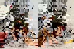 Cambodia says it has closed almost 200 scam centres in major fraud crackdown