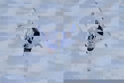 Olympics-Freestyle skiing-Elizabeth Lemley of U.S wins moguls gold