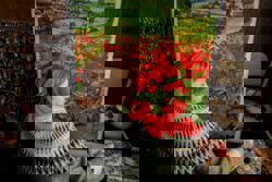 Olympics 'look surreal' from Ukraine, artist behind war dead helmet says