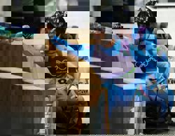 Olympics-Luge-Italian men complete golden doubles double for hosts