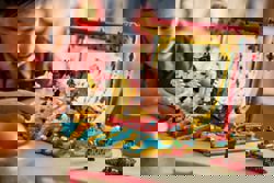 The Toy Box: Playtime in the Year Of The Horse