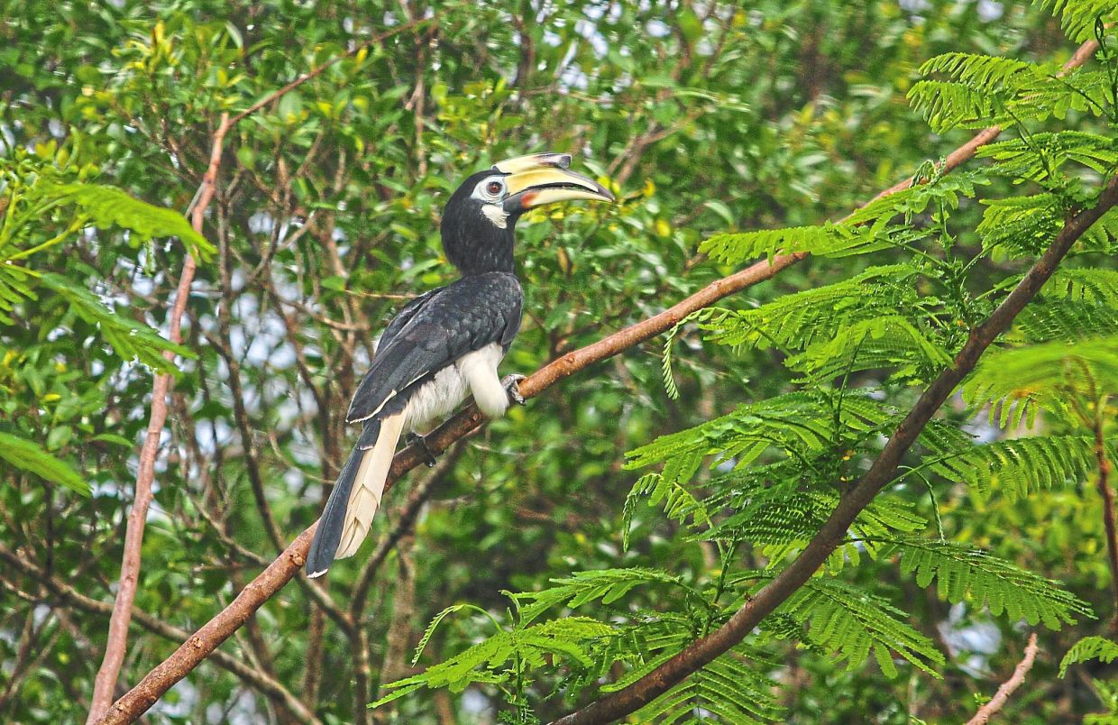 Sorry! Image not available at this time