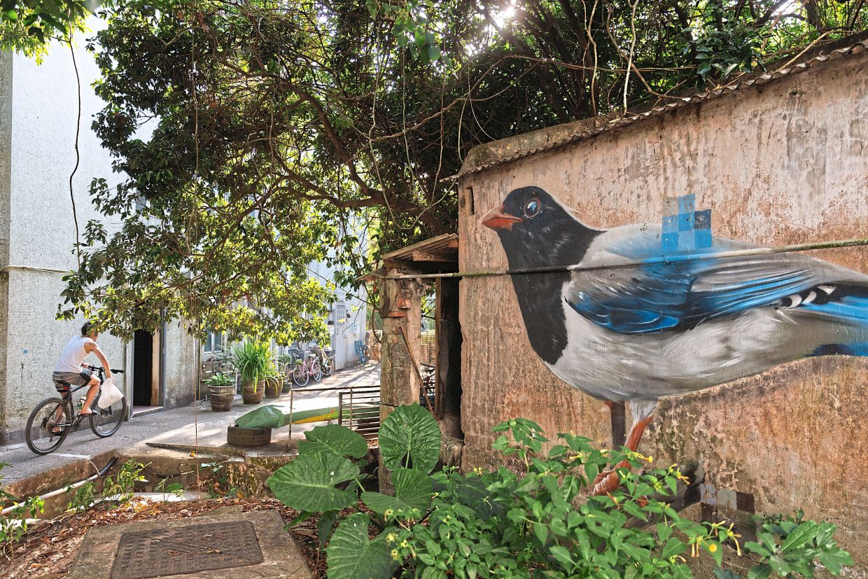 A mural of a red-billed blue magpie. — AP