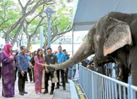 Jumbos star at Putrajaya open day