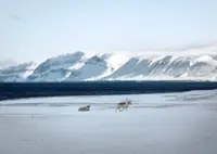 Power play at the top of the world