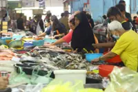 Enough white pomfret supply for festive season, says Perak exco man