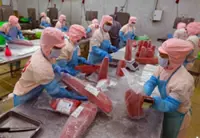 Seafood exports in Vietnam under pressure from tightened US rules, duties