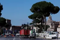 Rome cuts down ageing pines along avenue leading to Colosseum