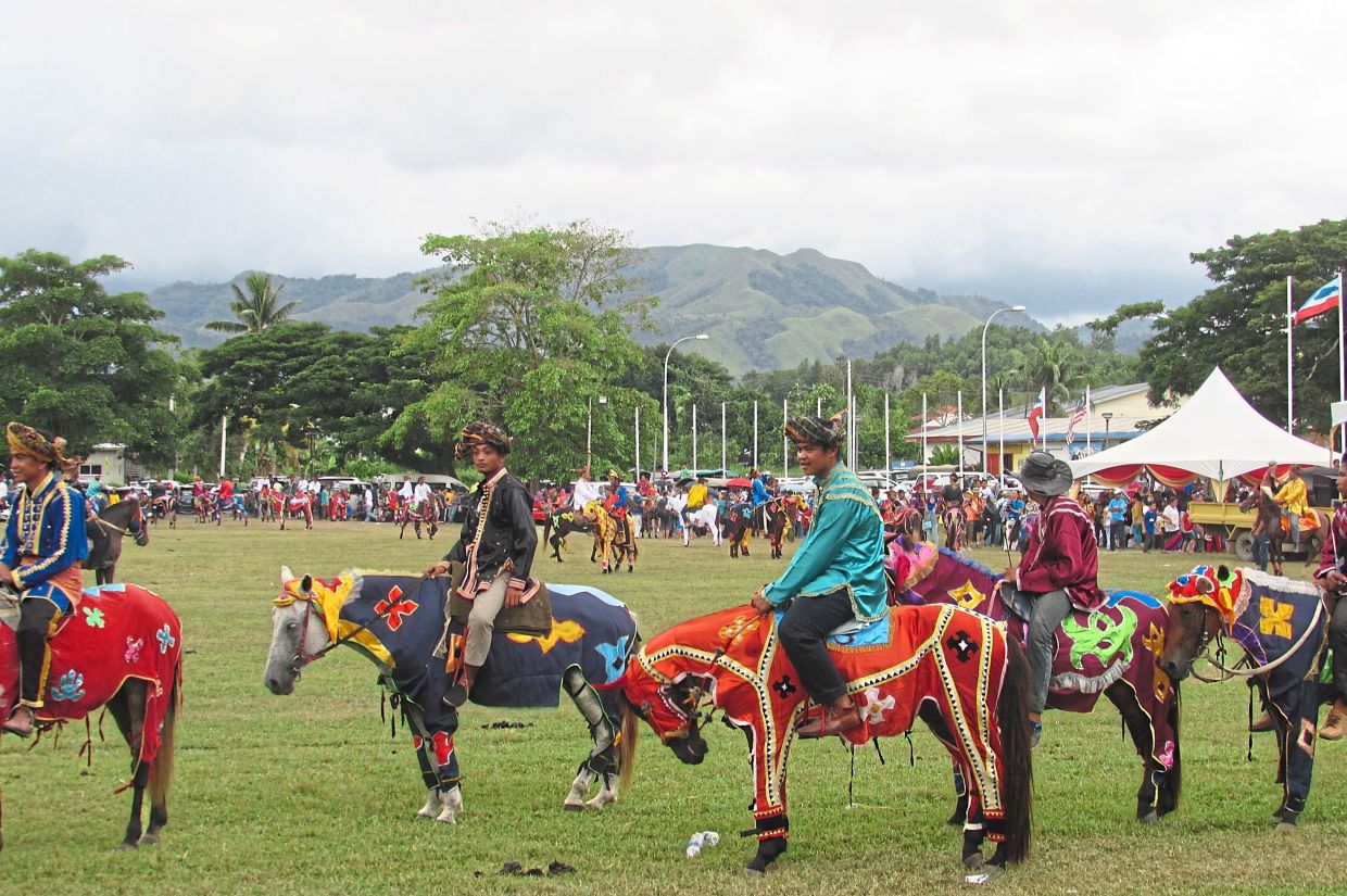 Admire colourful horses at Tamu Besar Kota Belud in Sabah. — Filepic
