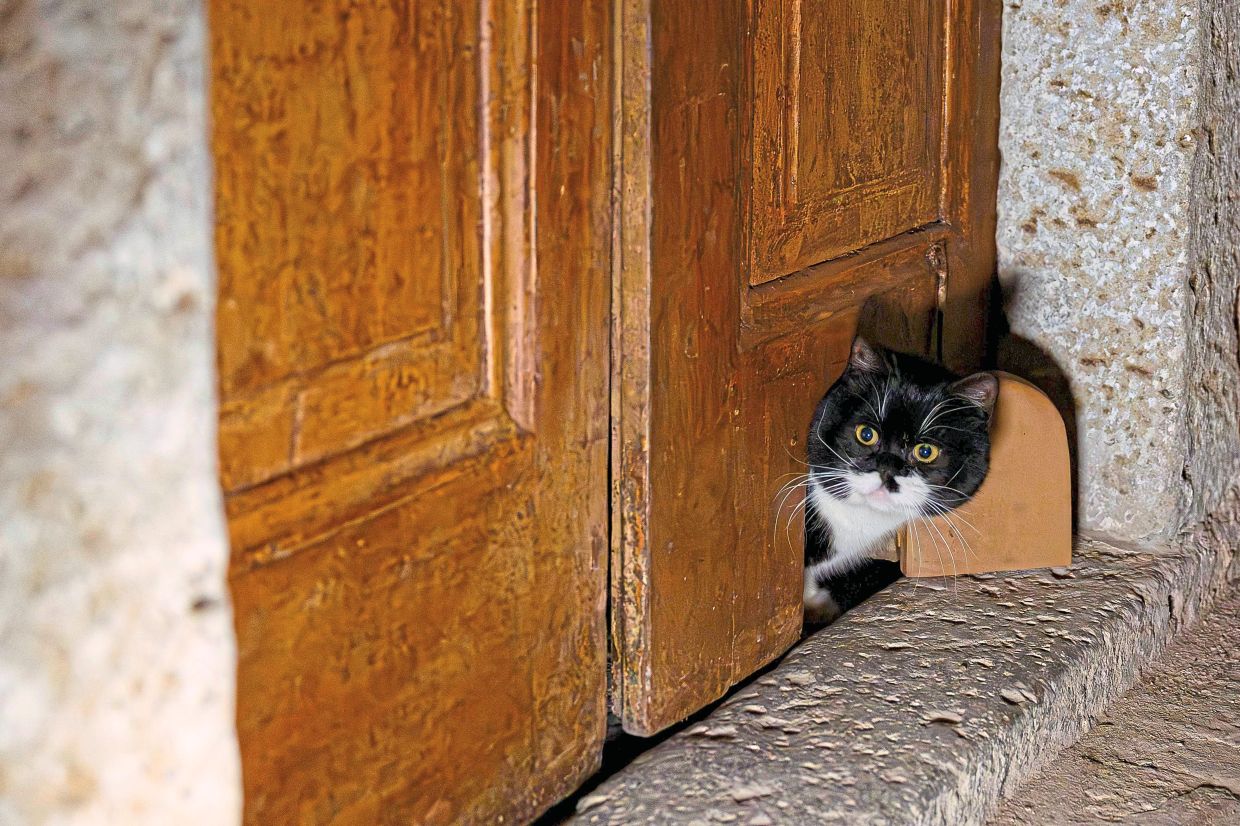 A cat passes through a cat flap on the door at Istanbul’s Topkapi Palace.