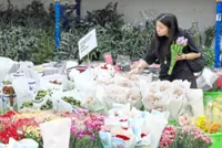 Love and luck keep local florists extra busy
