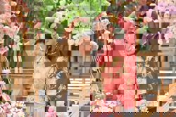 China’s marriage rebound: will more 2025 knots bring more baby bumps in 2026?