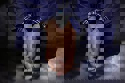 Six foreign nationals posing as 'doctors' among 18 detained in raid