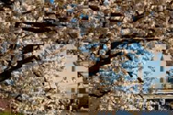 Trump administration sued for attempted overhaul of public golf course in Washington