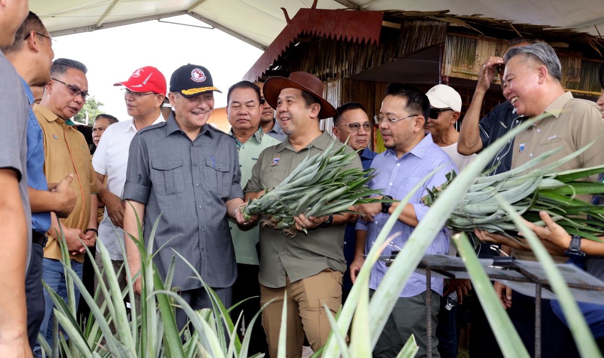 thestar.com.my - RM560mil to boost Sabah's food security